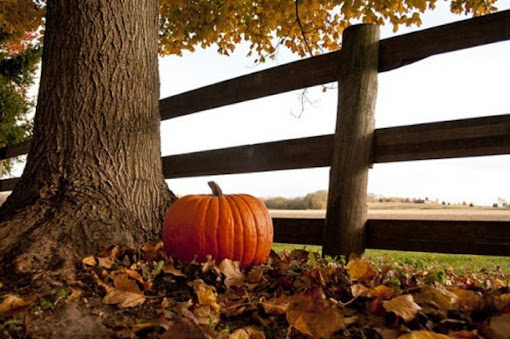 HalloweenPumpkin