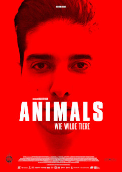 Animals00