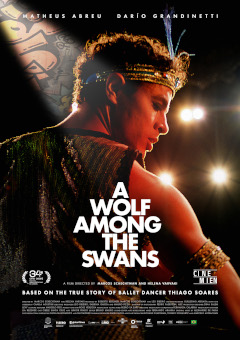 A-Wolf-Among-Swans-00