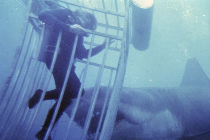Jaws_02